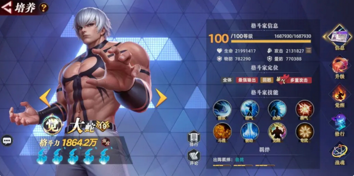 全明星觉醒角色攻略分享3