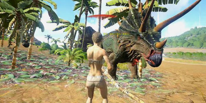 方舟生存进化新手流程是什么2