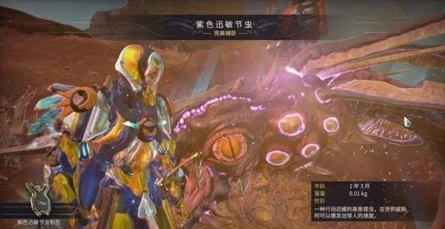 星际战甲龙王全套哪里刷2