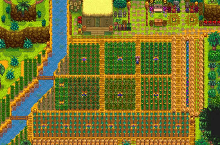 星露谷物语姜岛怎么玩1