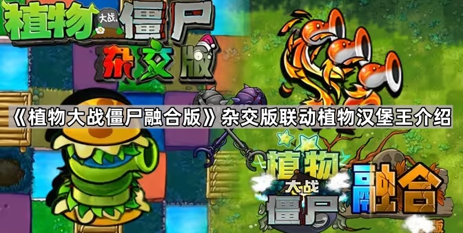 《植物大战僵尸融合版》杂交版联动植物汉堡王介绍1