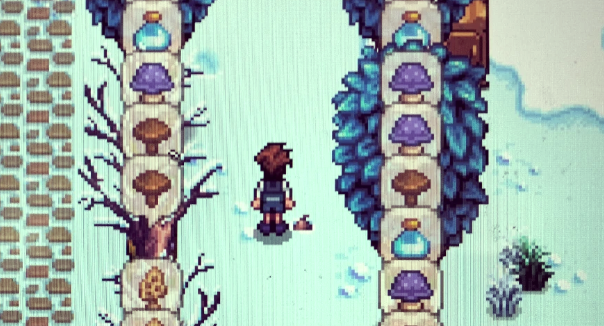 星露谷物语普通蘑菇怎么获得1