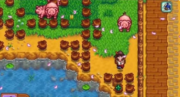 星露谷物语猪要围起来吗1