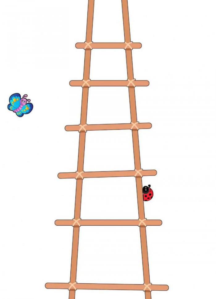 动物森友会怎么建阶梯2