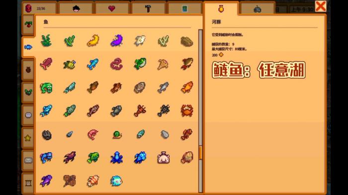 星露谷物语钓到鱼王怎么处理2