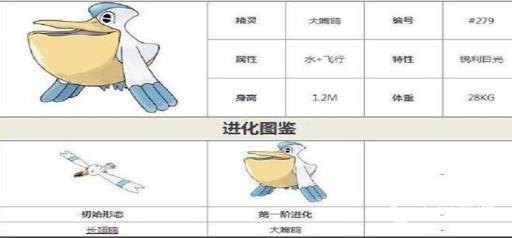 神奇宝贝雨天队怎么搭配?3