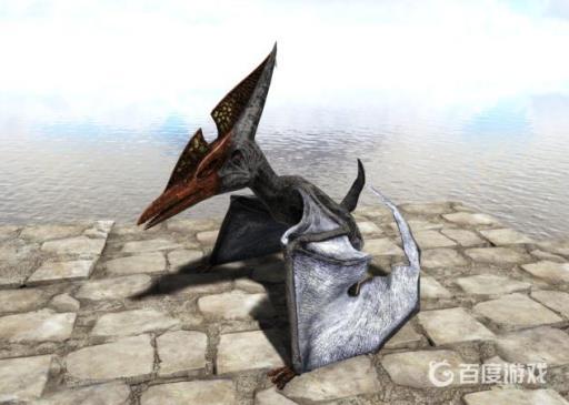 方舟哪些龙值得抓?2