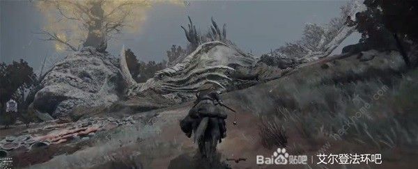 艾尔登法环观星者前期怎么加点4