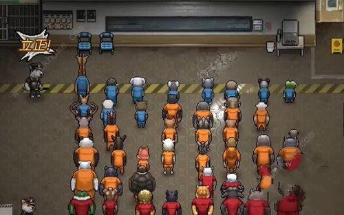 动物迷城能联机吗3