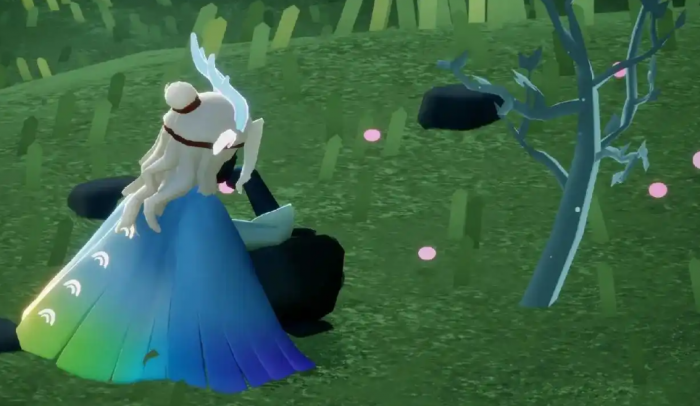 光遇小树苗有什么用2