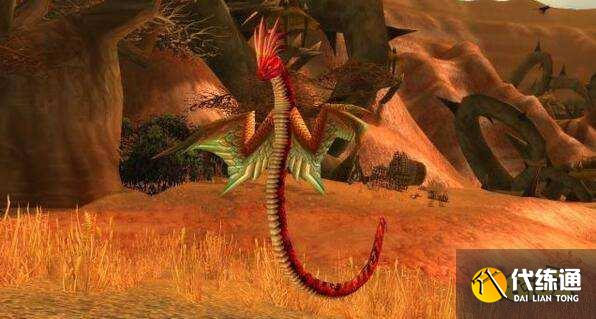 风蛇哪里抓_时光服猎人风蛇哪里抓